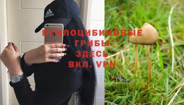 хмурый Протвино